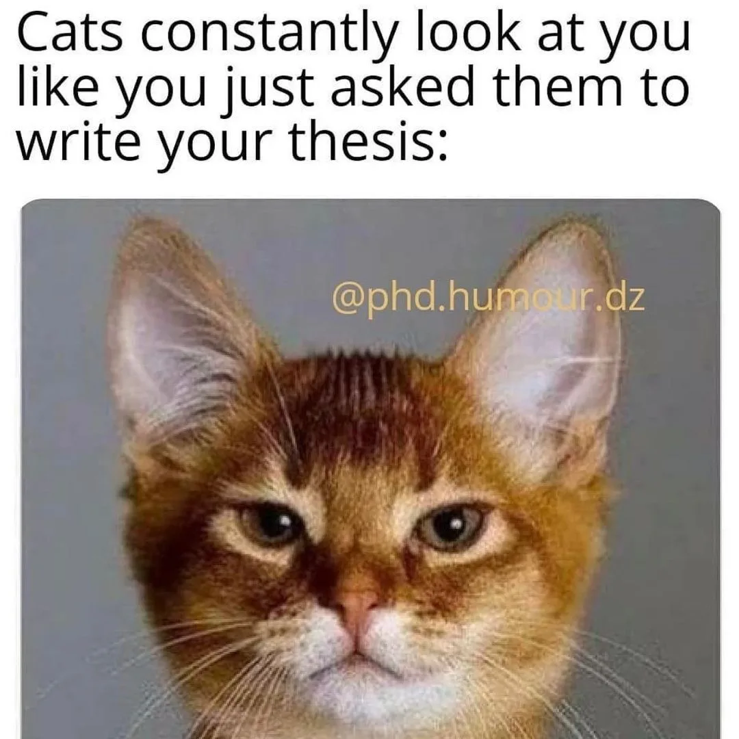 dissertation meme
