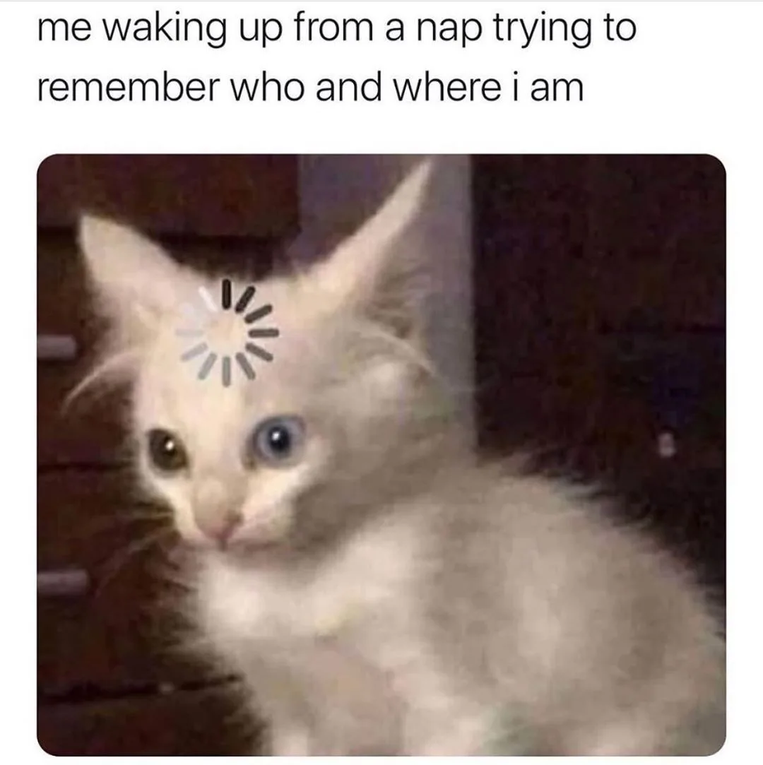 nap meme