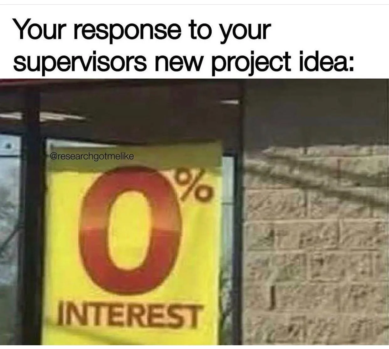 dissertation meme