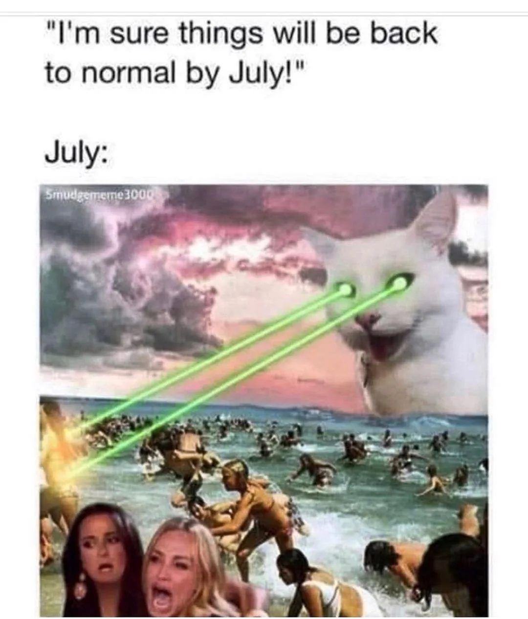 2020 meme
