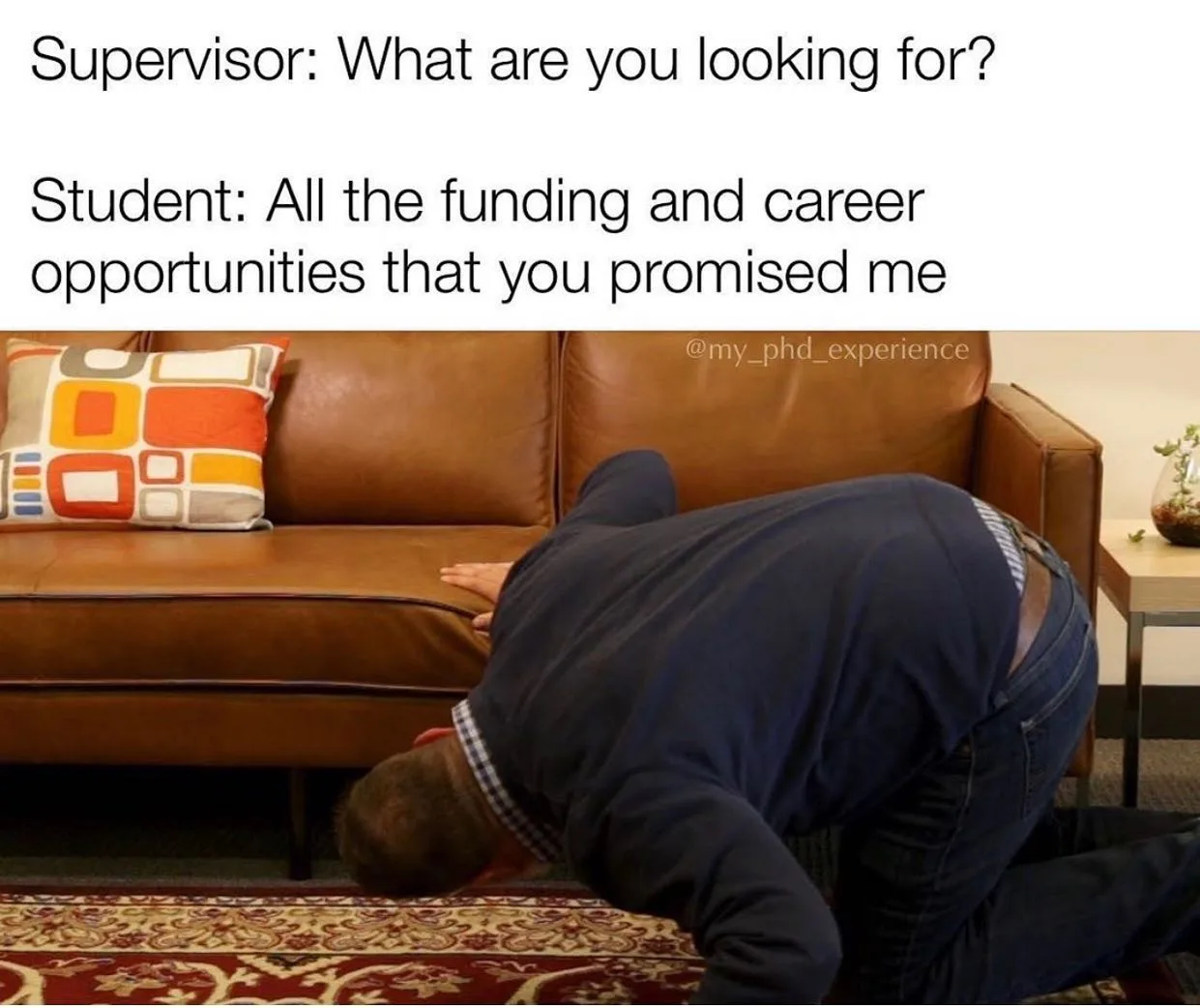 doctoral advisor meme