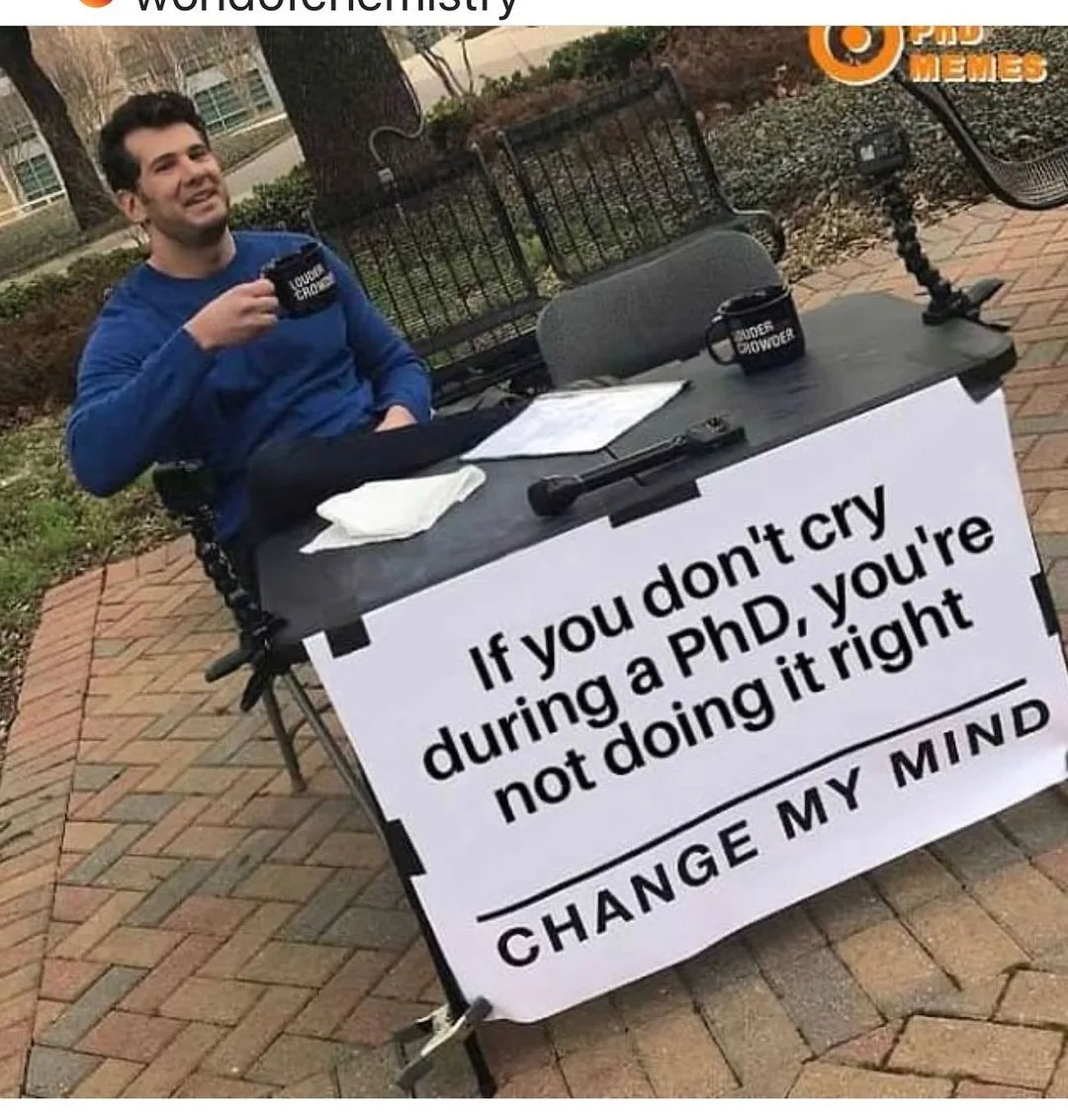dissertation writing meme