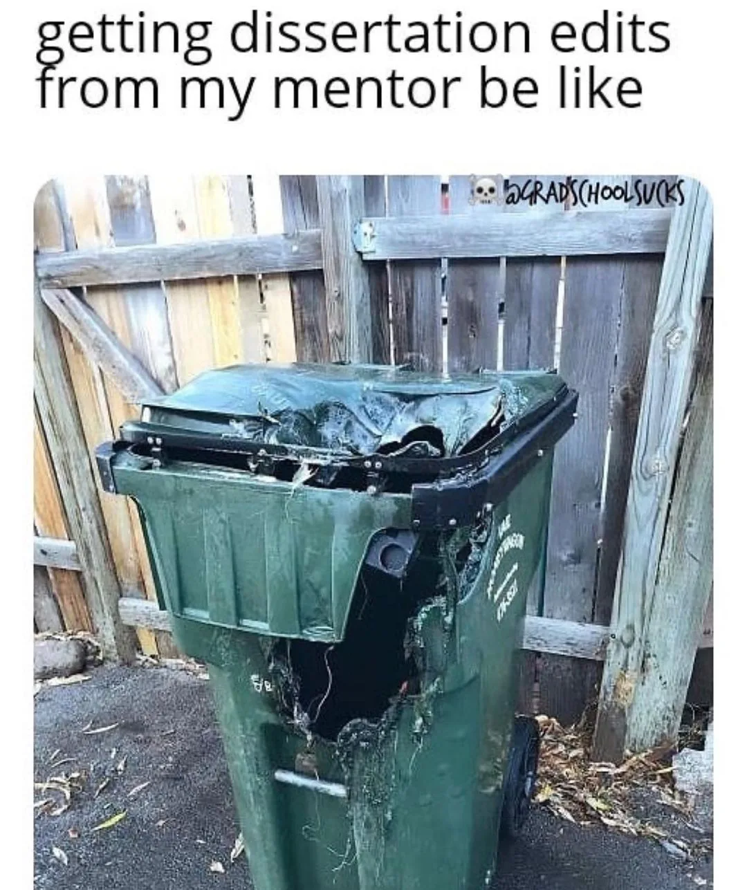 dissertation meme