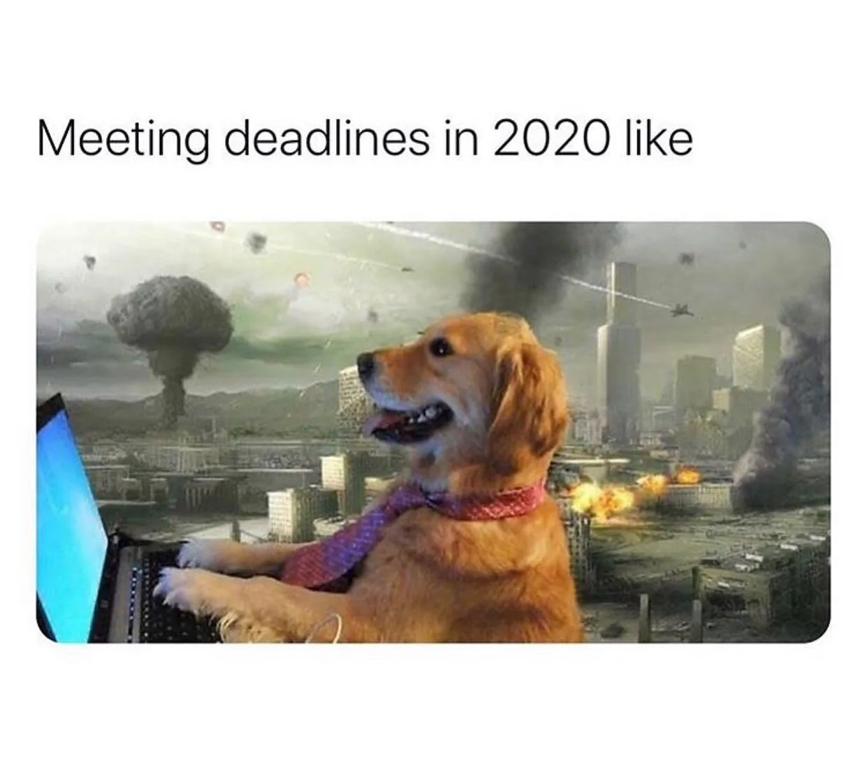 deadline meme