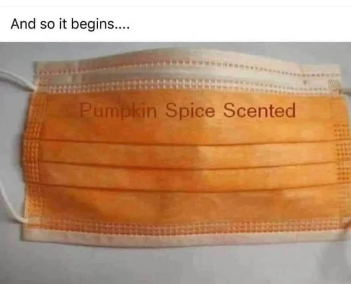 pumpkin meme