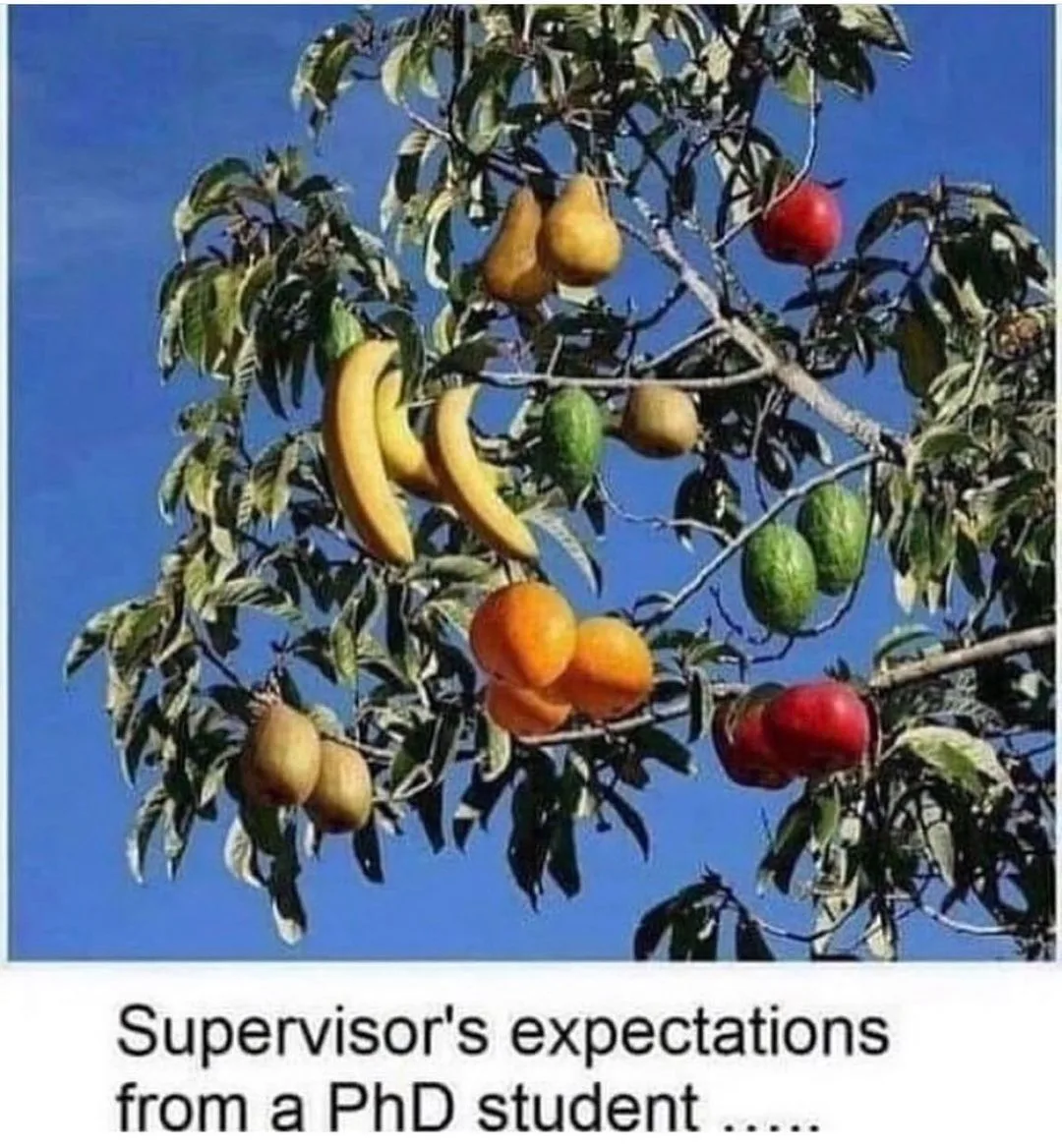 doctoral advisor meme