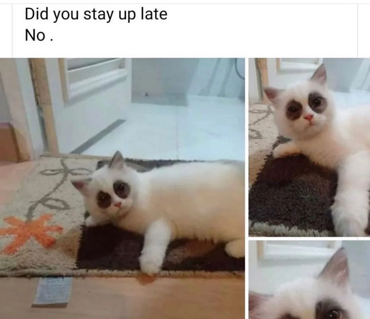 sleeplessness meme