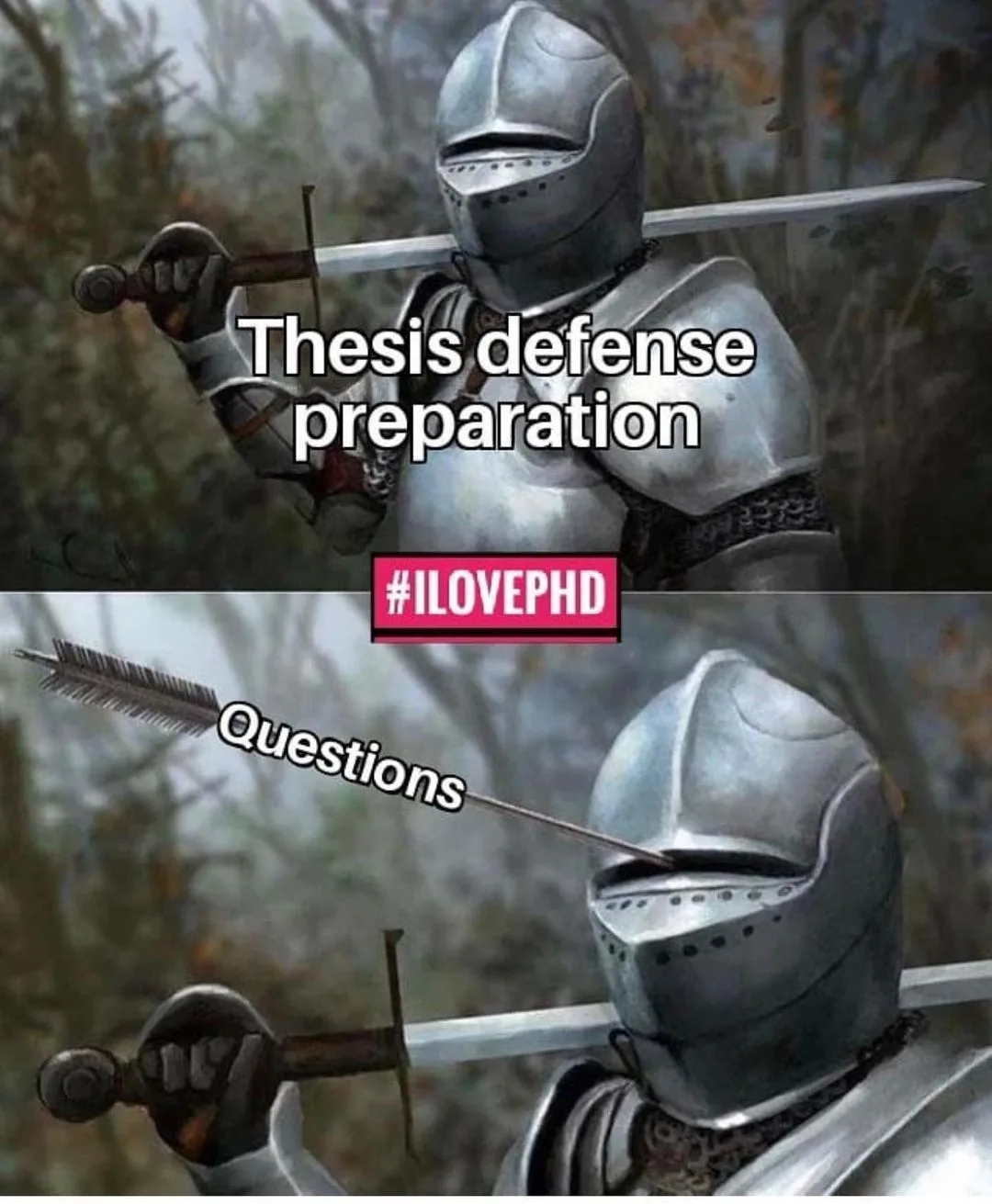 dissertation defense meme