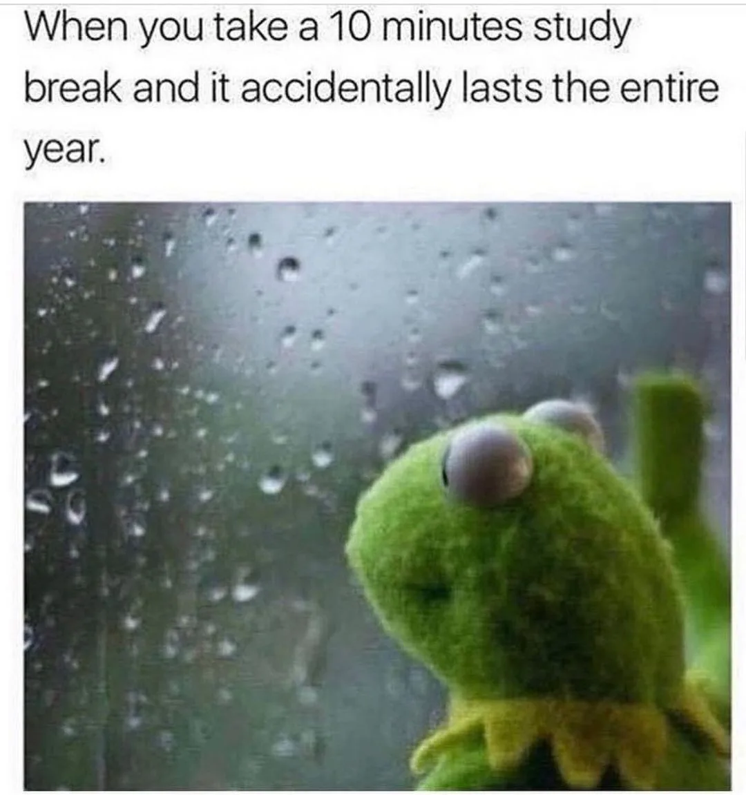 study meme