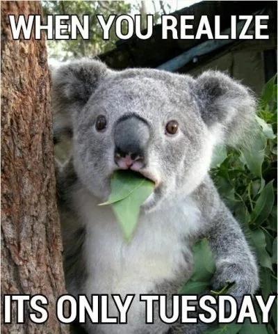 Tuesday meme