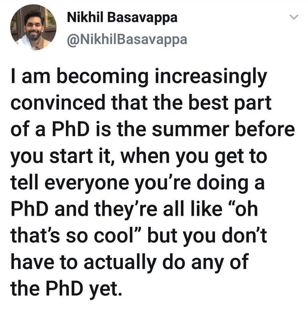 graduate study meme