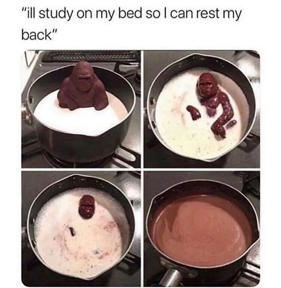 studying meme