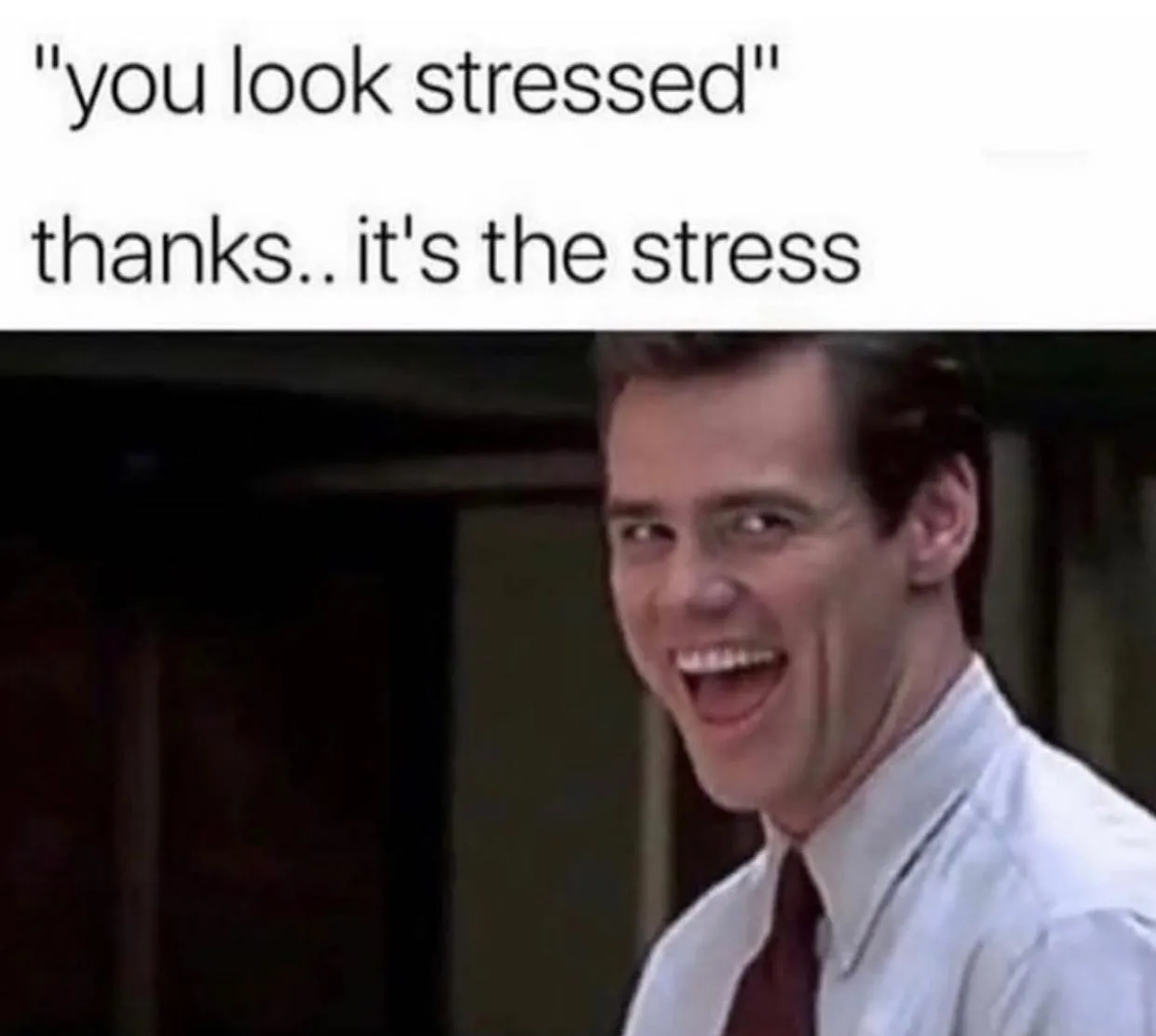 stress meme