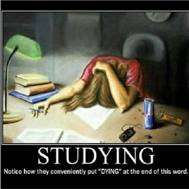 studying meme