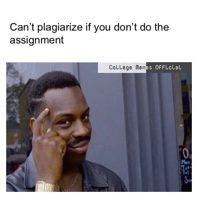plagiarism meme