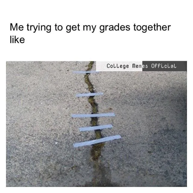 college meme