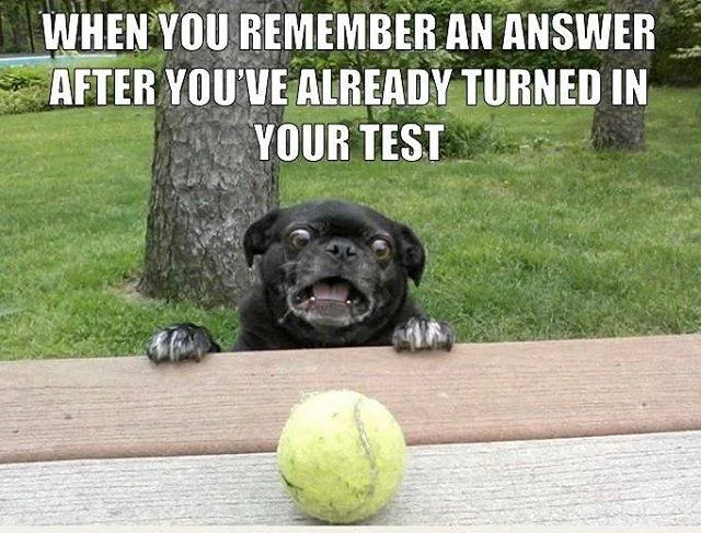 exam meme