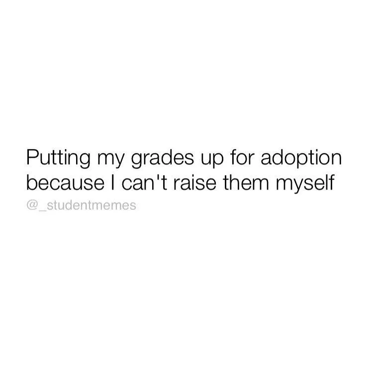 grades meme