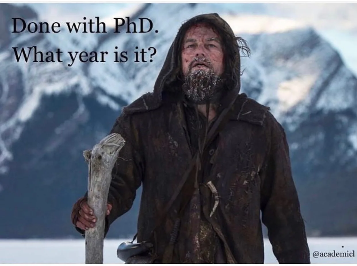 academic meme