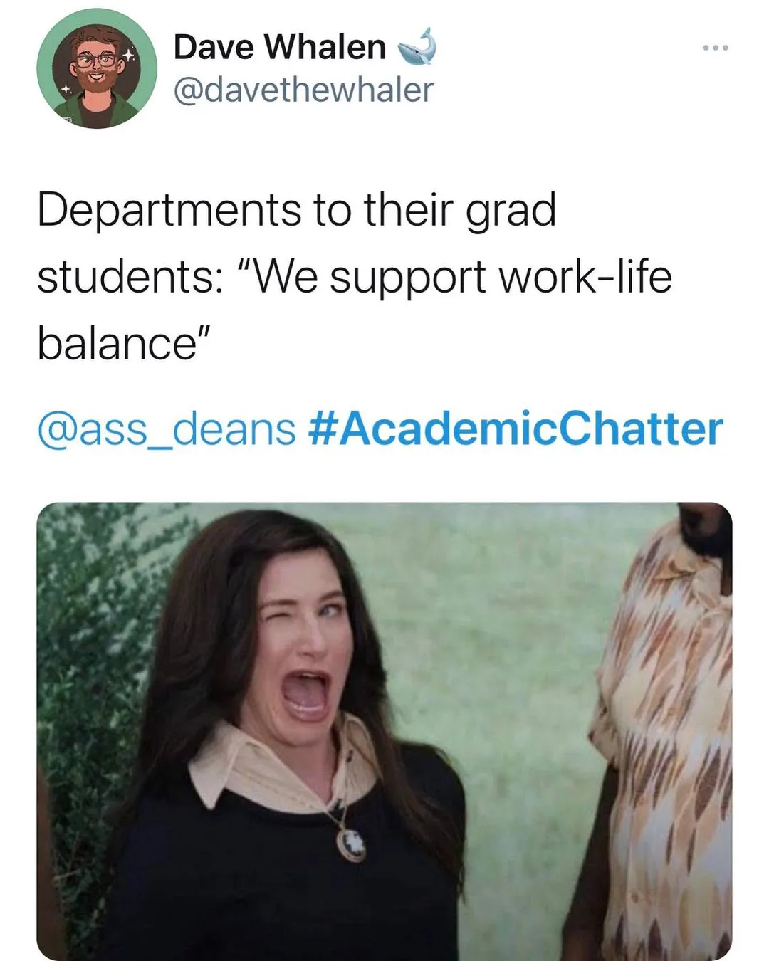 doctoral advisor meme