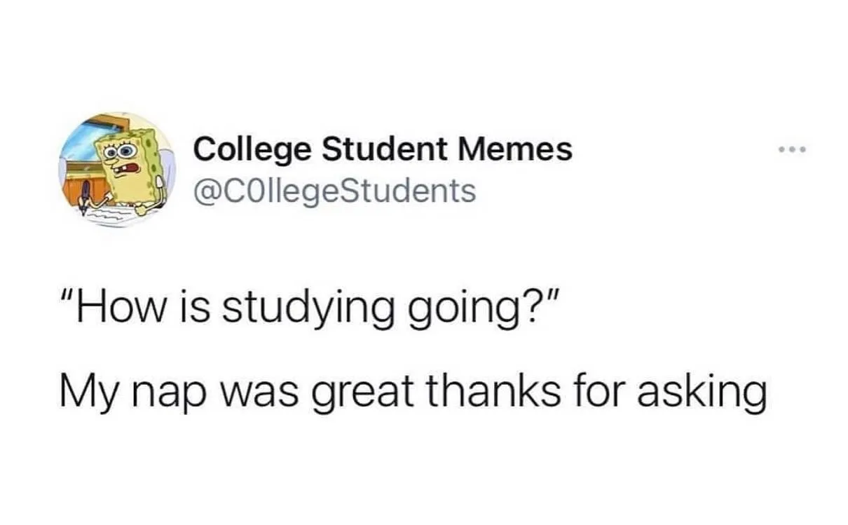 napping meme