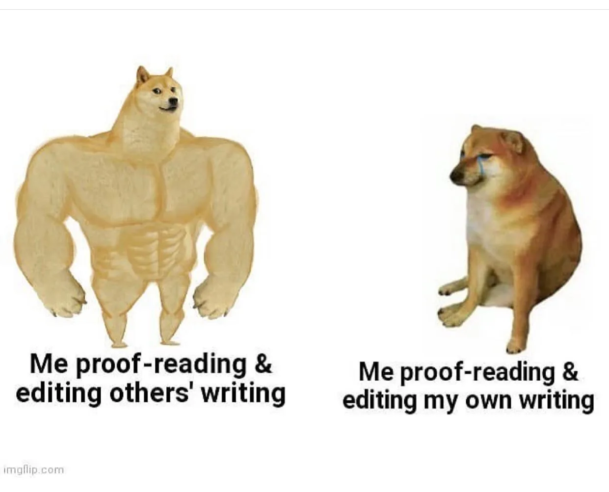 proofreading meme