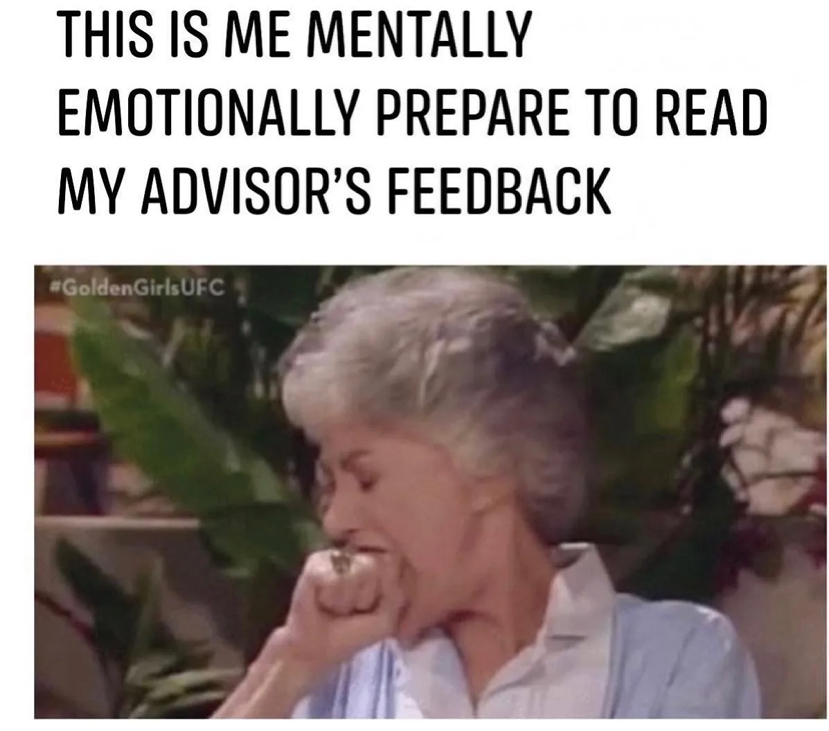 doctoral advisor meme