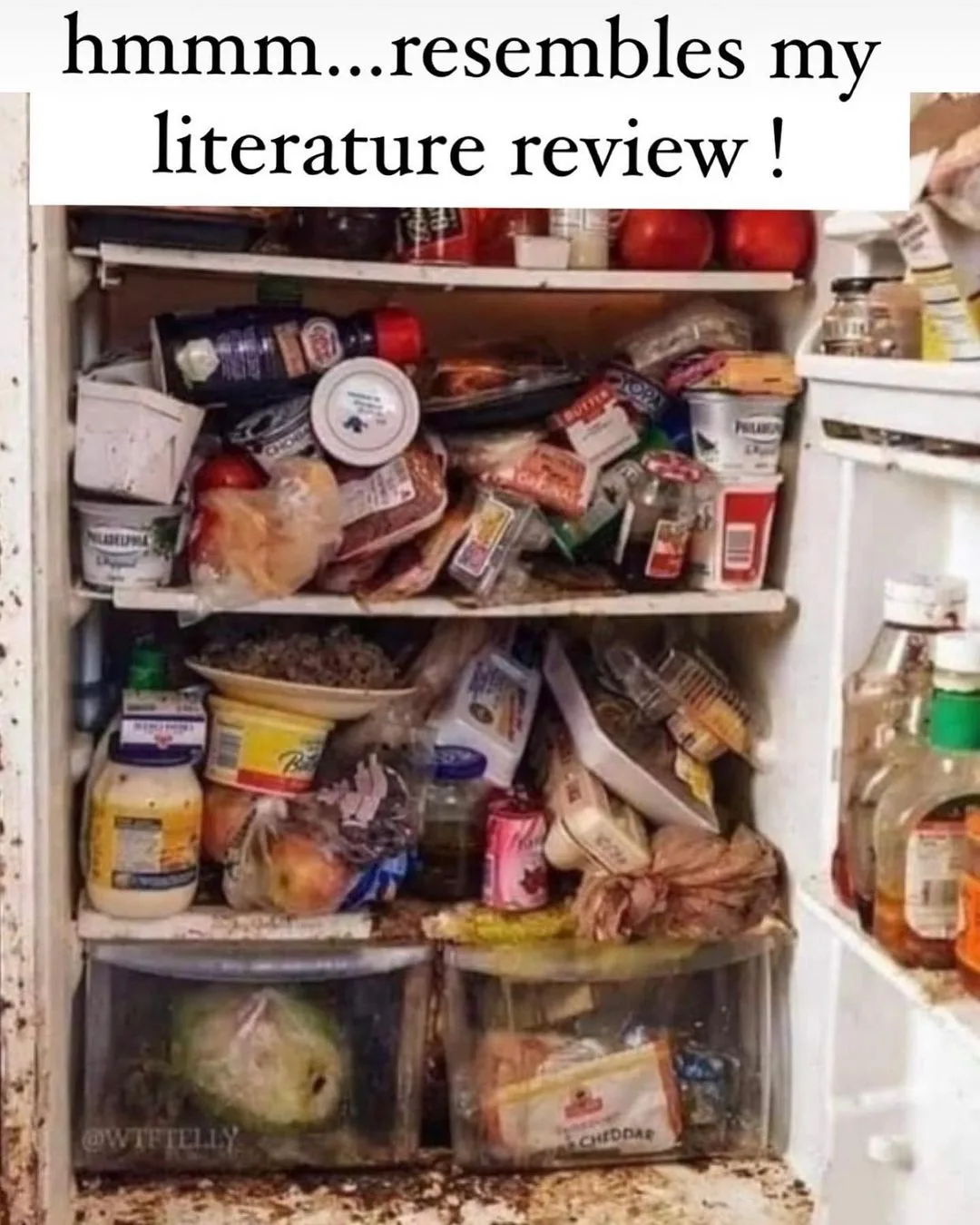 literature review meme