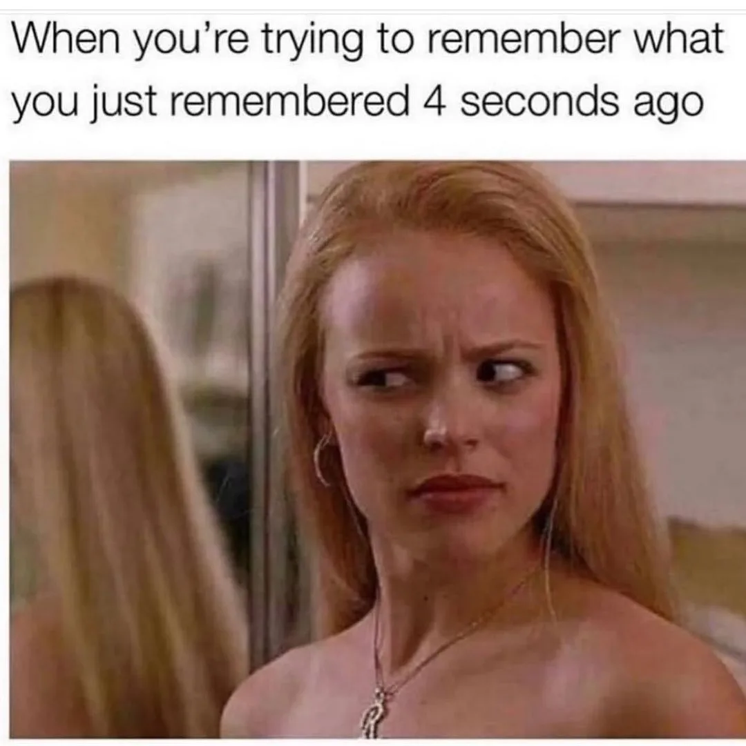 memory meme