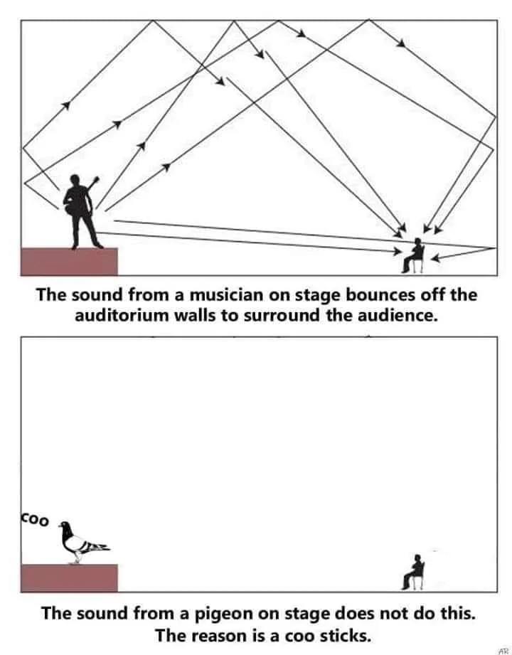 acoustics meme