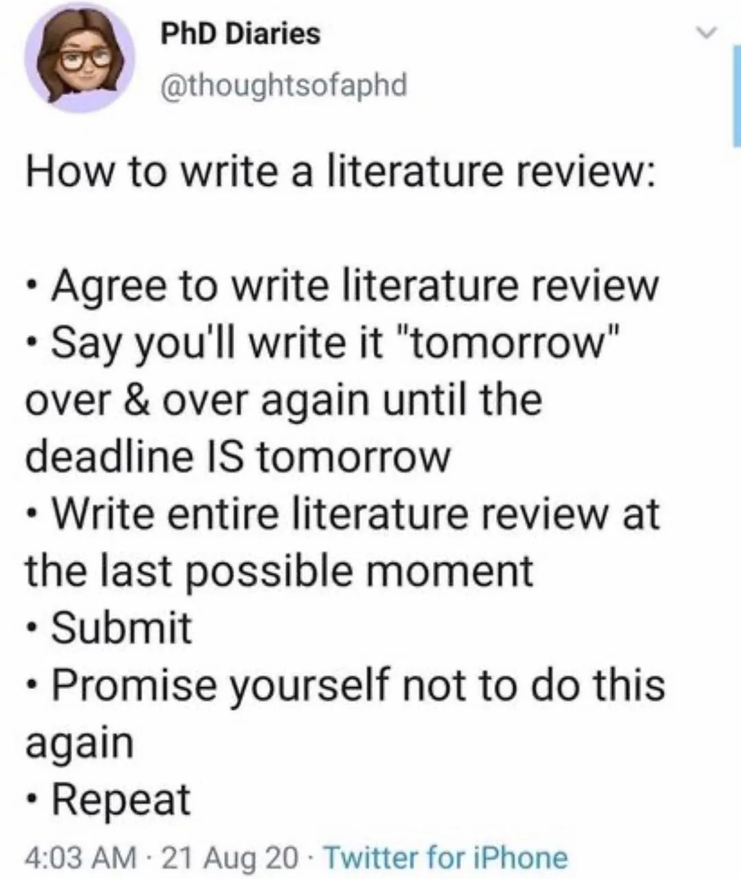literature review meme