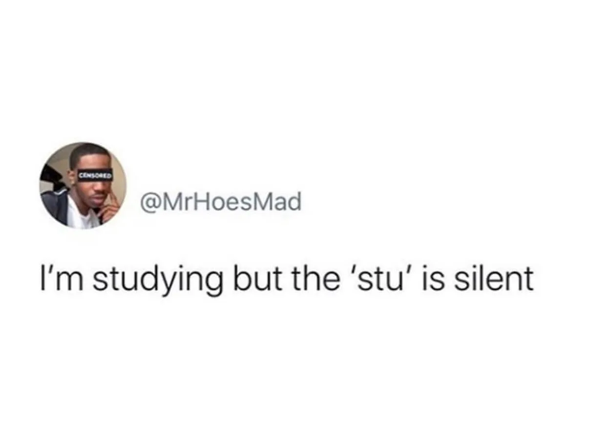 study meme