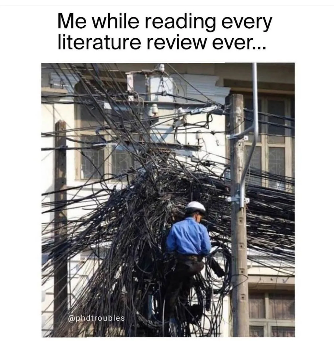 literature review meme