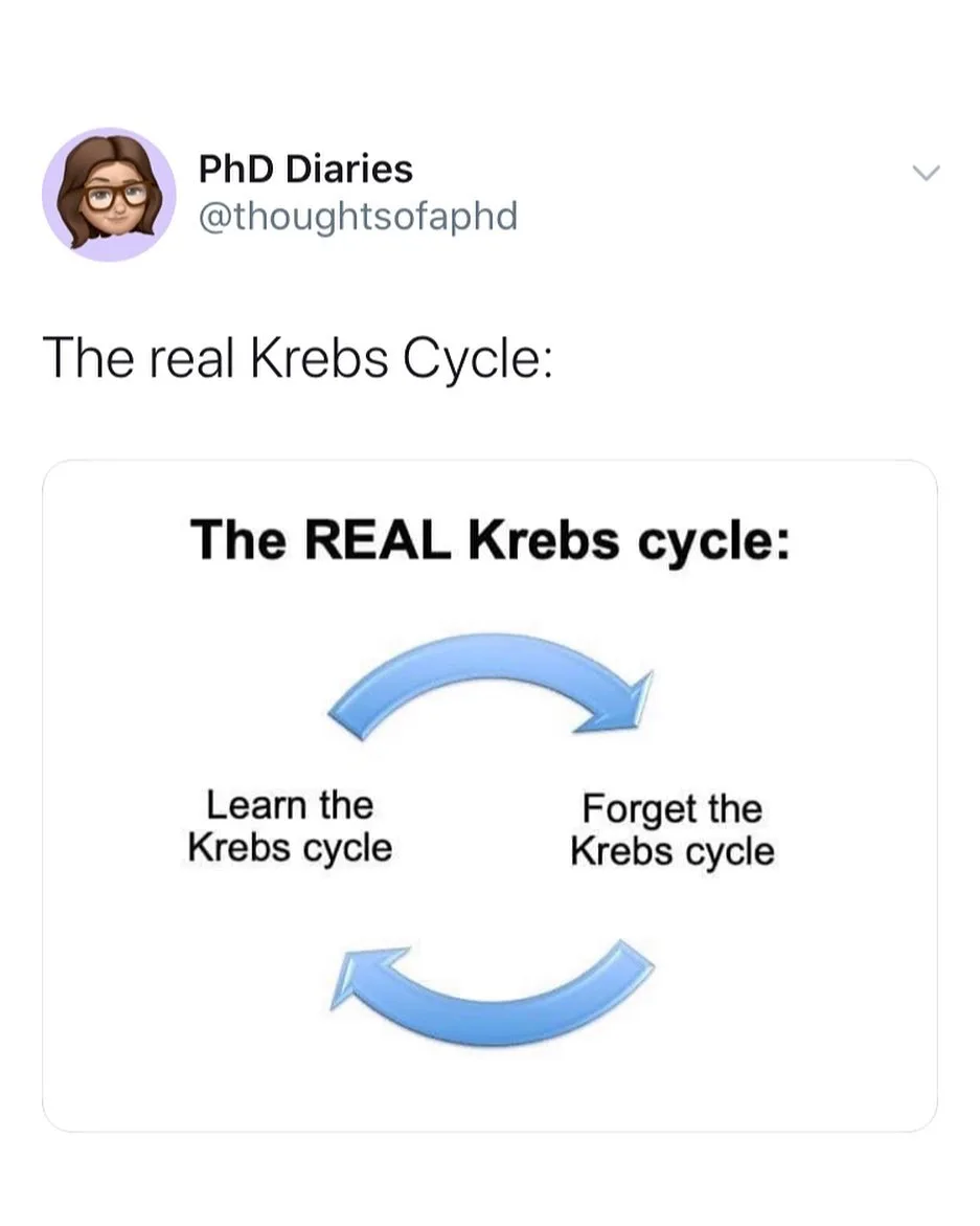 Krebs Cycle meme