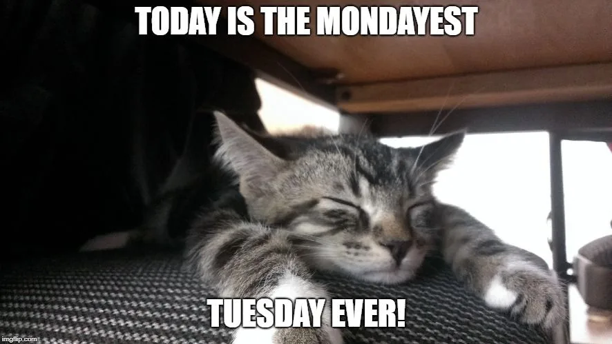 Tuesday meme