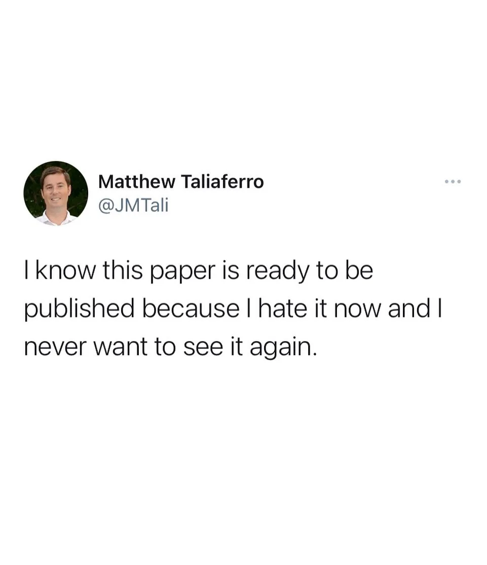 essay writing meme