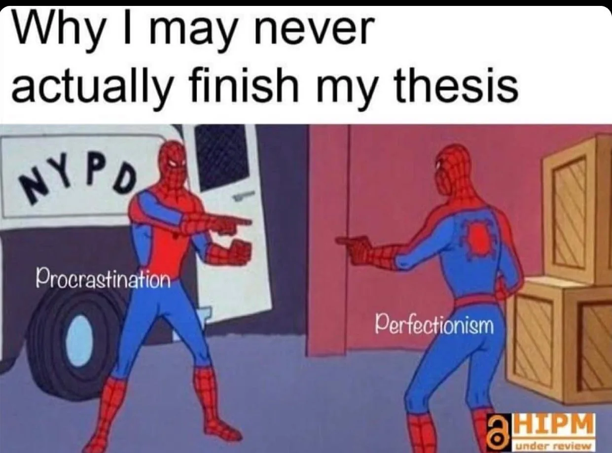 perfectionism meme