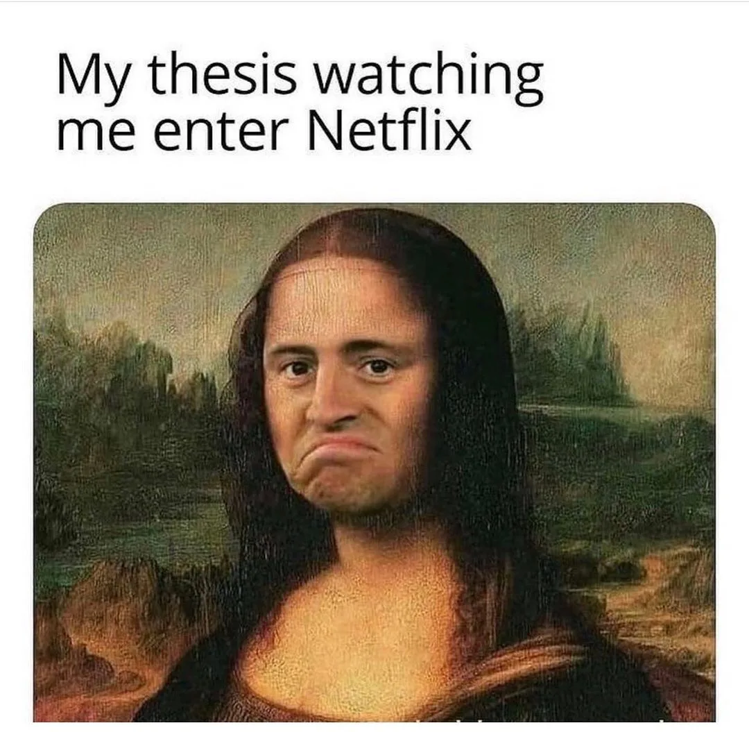 Netflix meme
