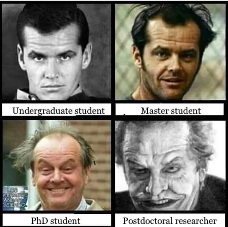 postdoctoral fellow meme