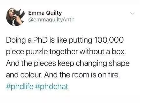 puzzle meme