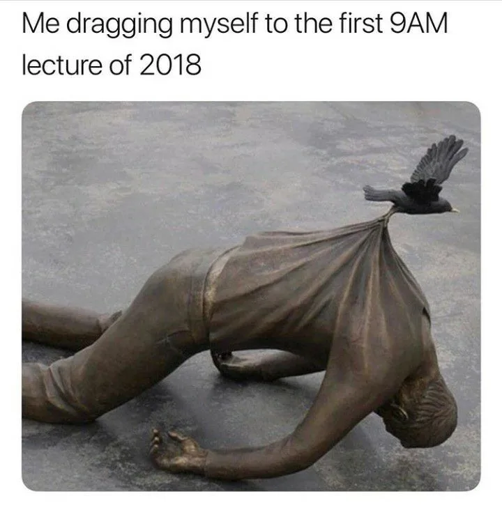 professor meme