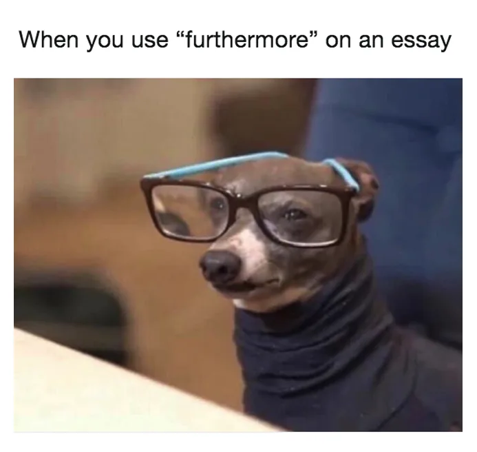 assignment meme