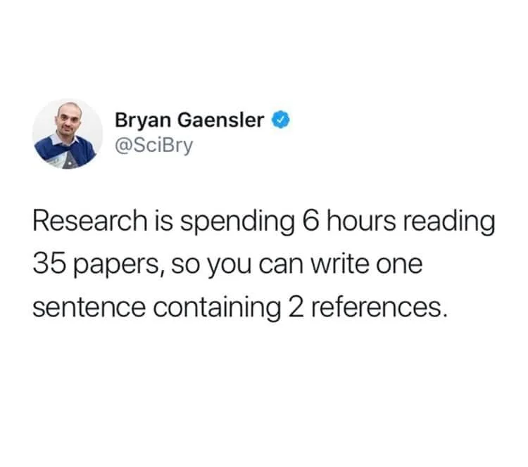 essay writing meme