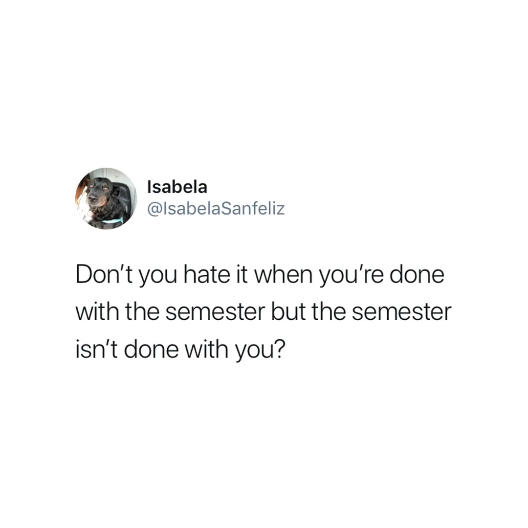 college class meme