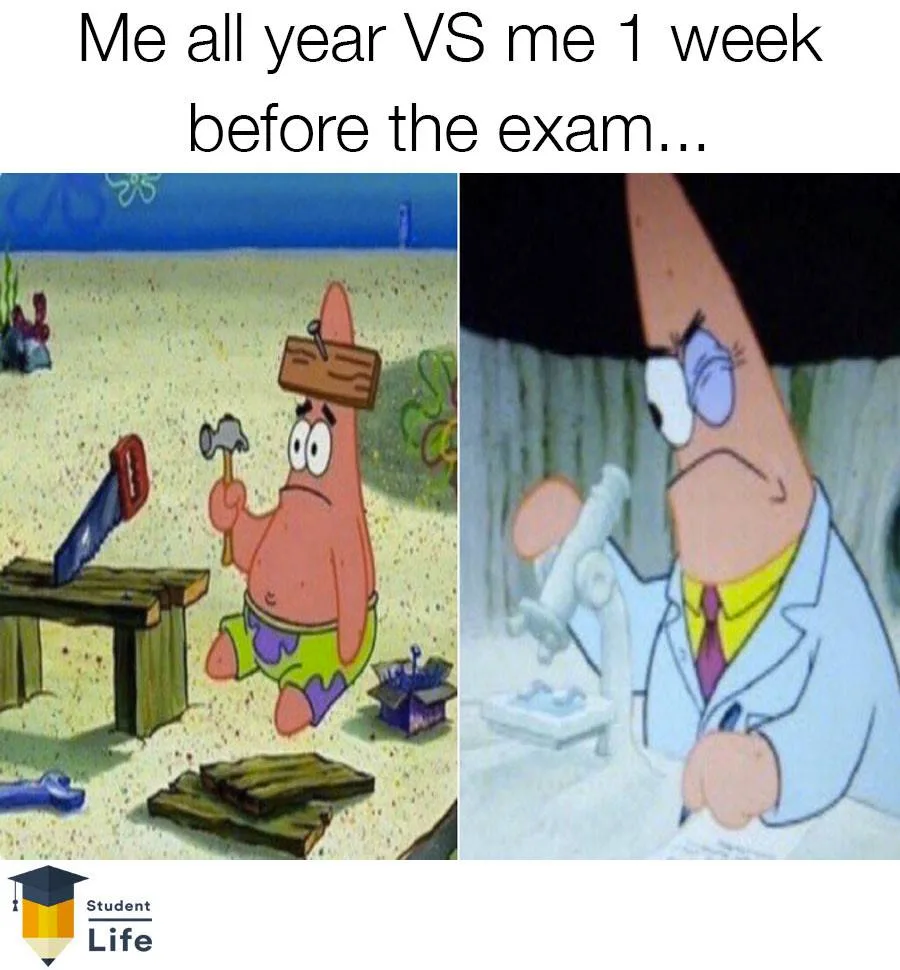 assignment meme