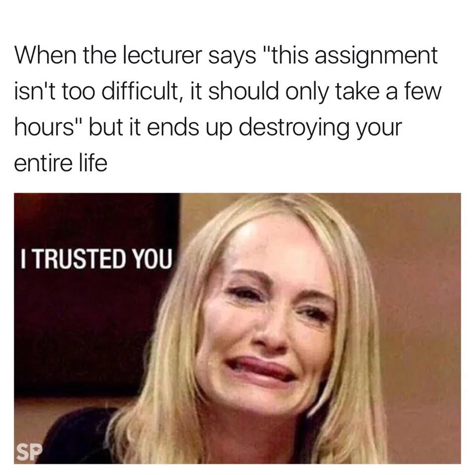 assignment meme
