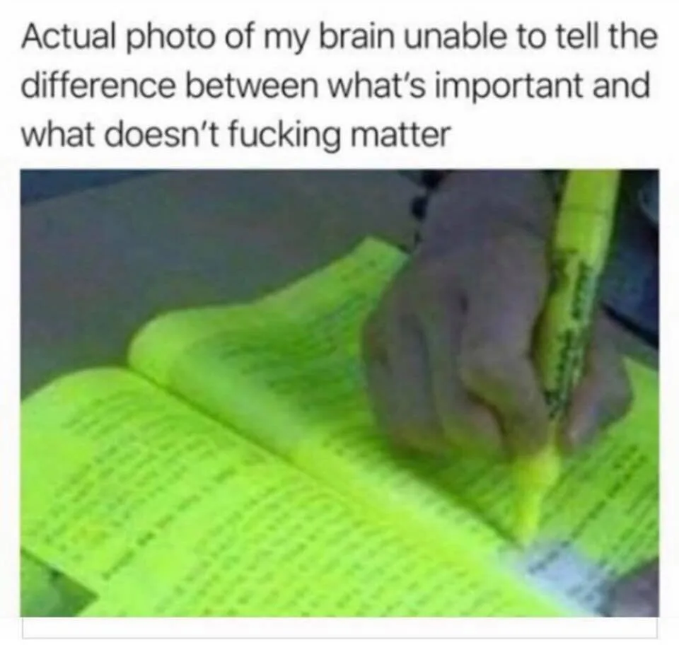 study meme
