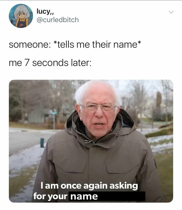 introduction meme