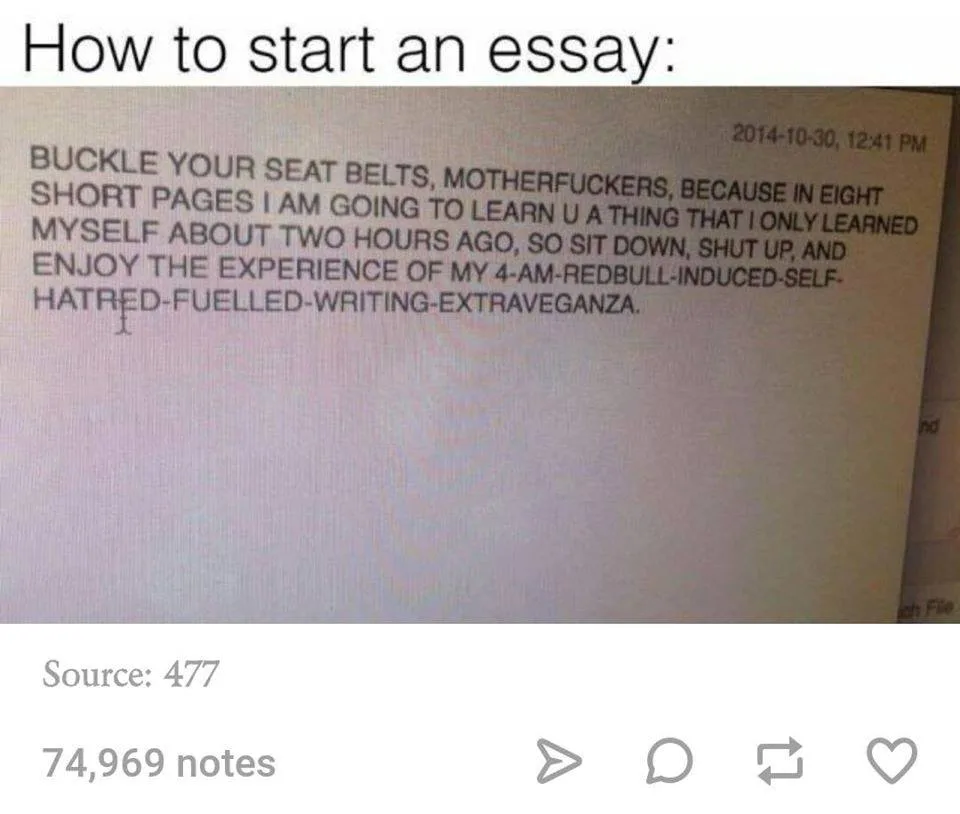 essay writing meme