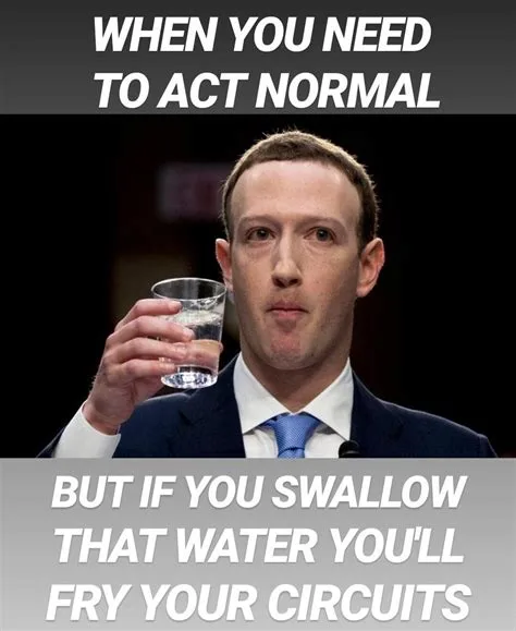 Mark Zuckerberg meme